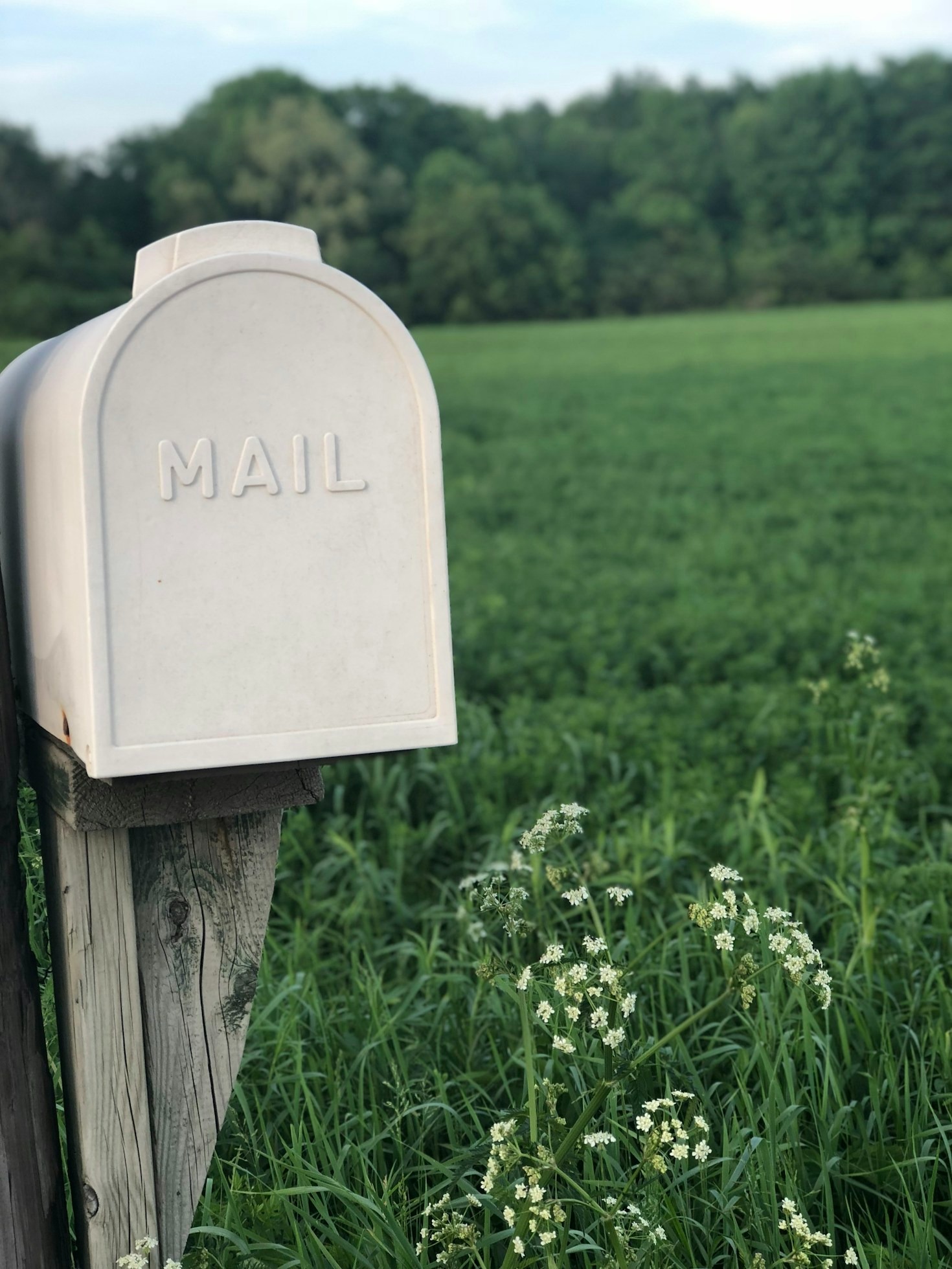 Direct Mail Tips Every Home Business Owner Should Know