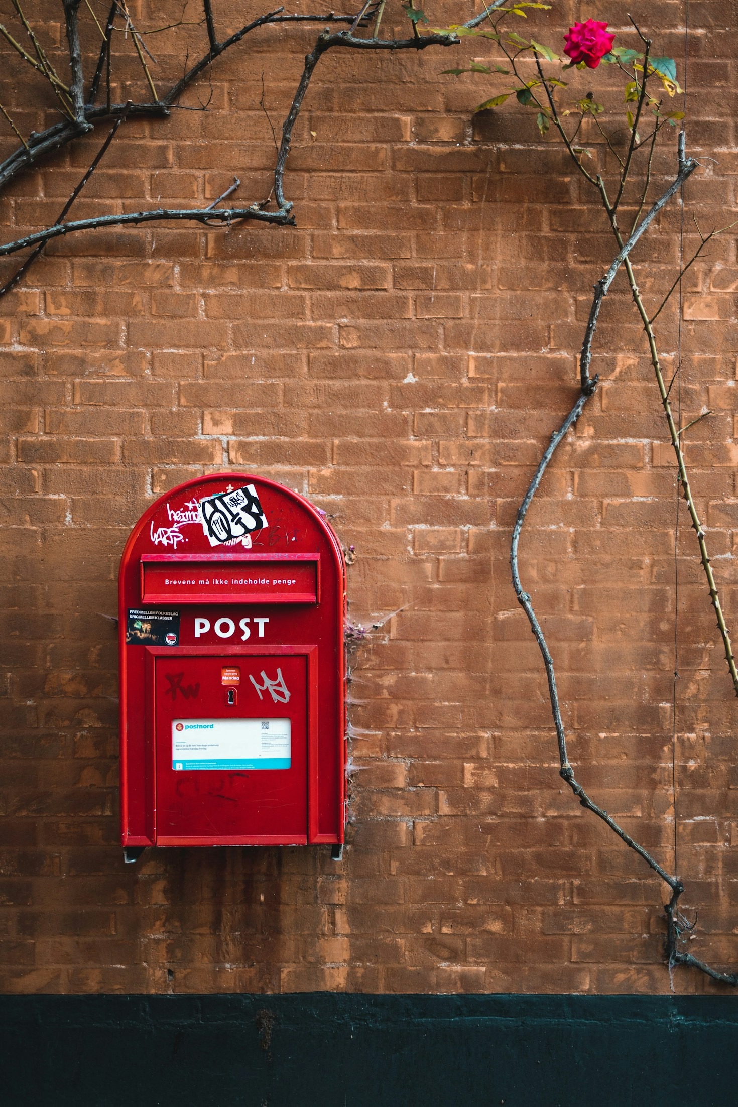 A Beginner’s Guide to Home-Based Direct Mail Marketing